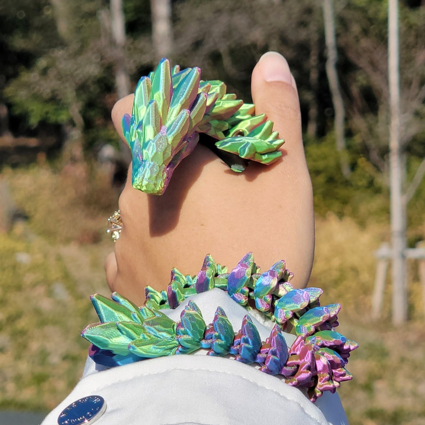 ロック(岩)ドラゴン