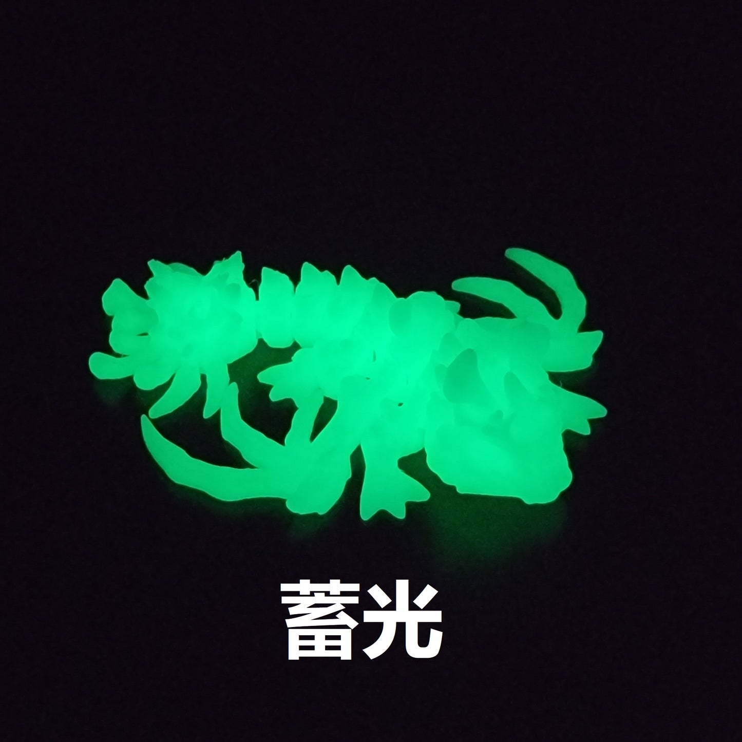 ミニ スカル(ドクロ)ドラゴン