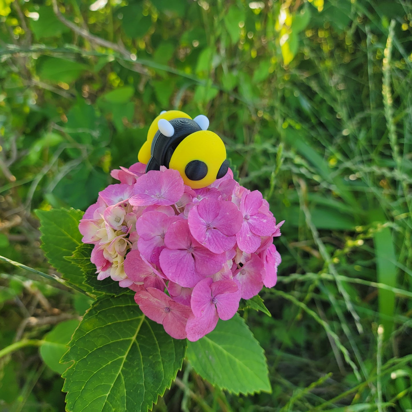 ぽっちゃりハチ