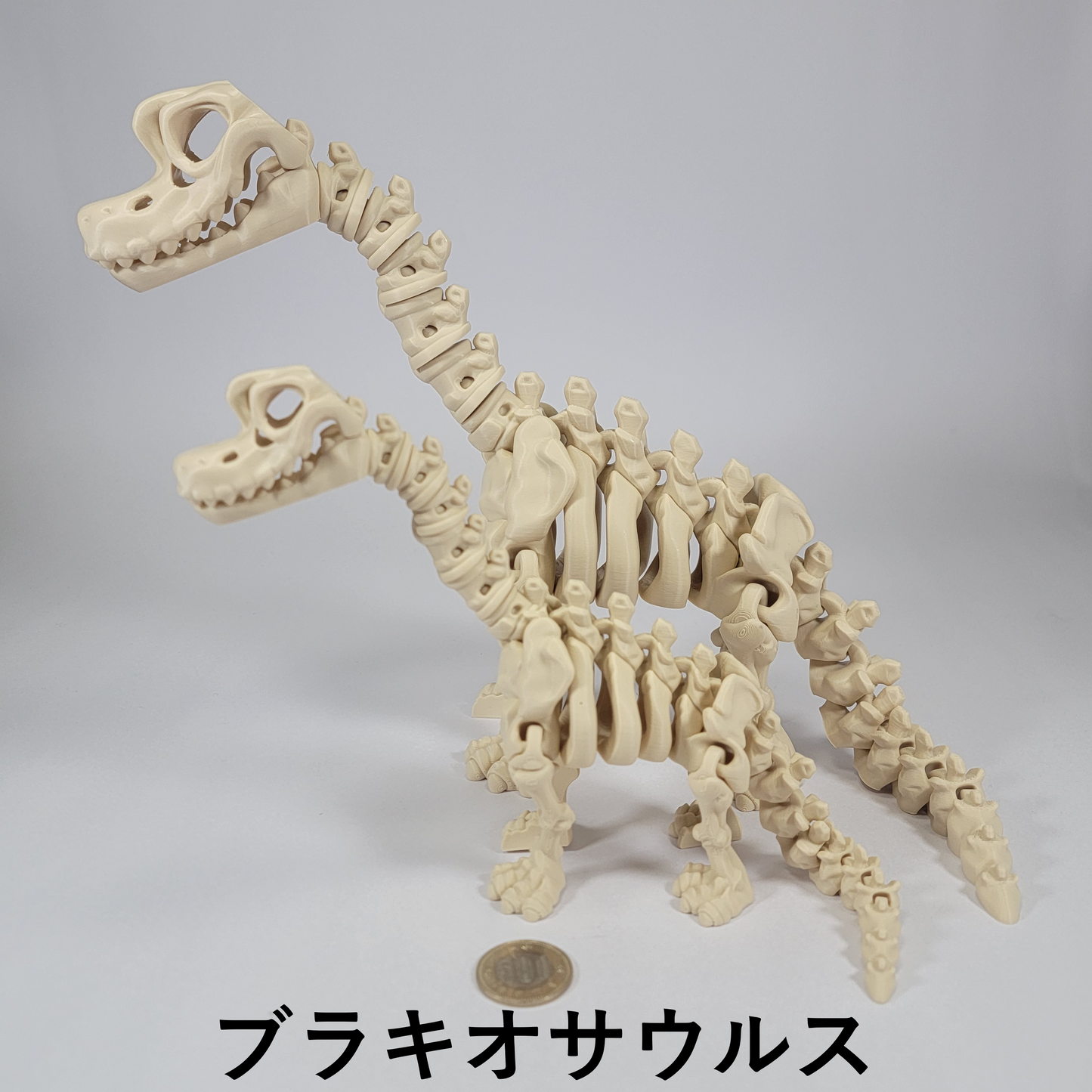 フレキシブル！ホネホネ恐竜