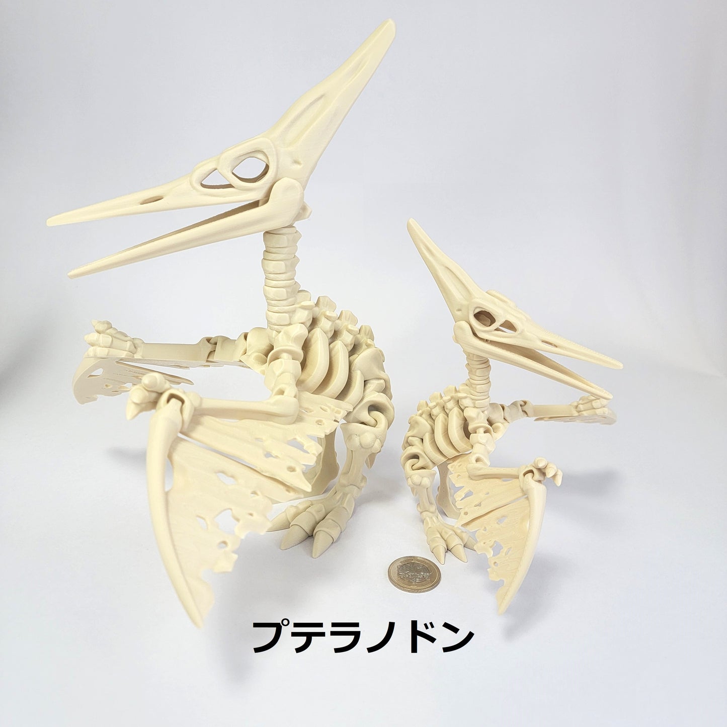 フレキシブル！ホネホネ恐竜