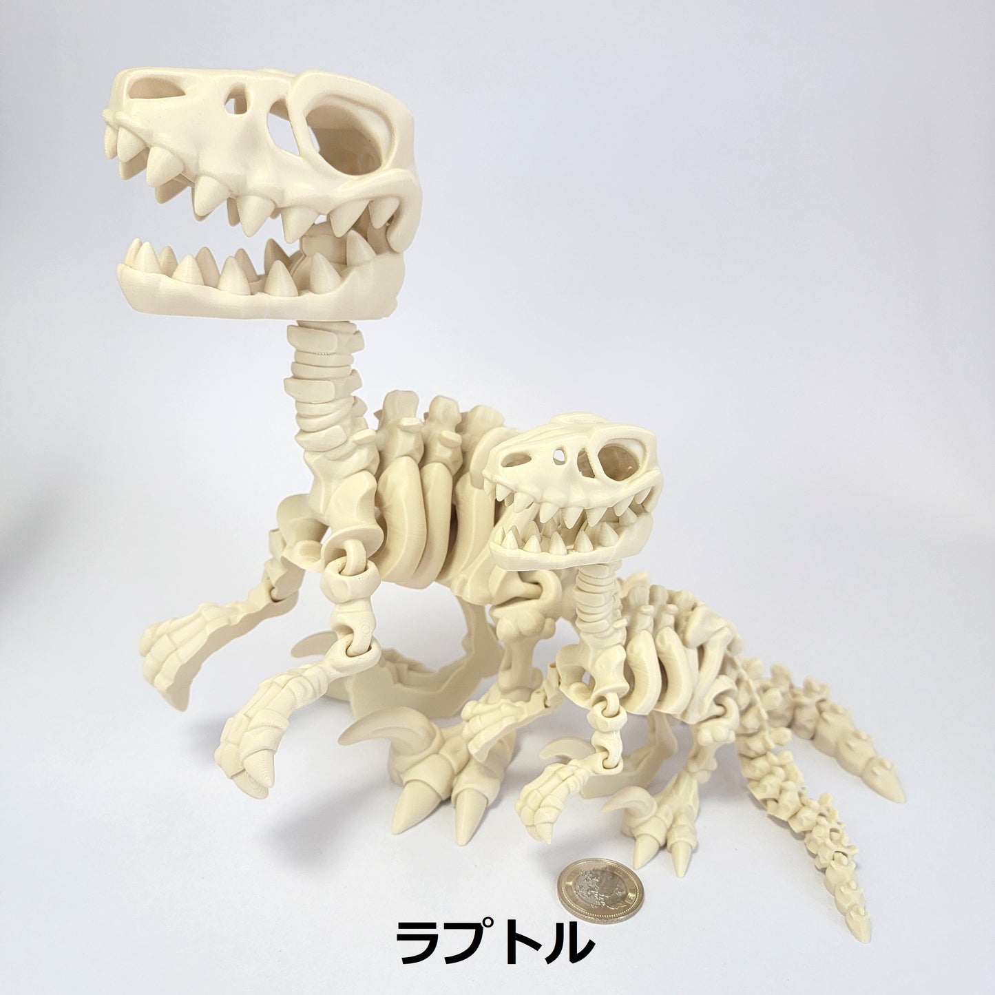 フレキシブル！ホネホネ恐竜