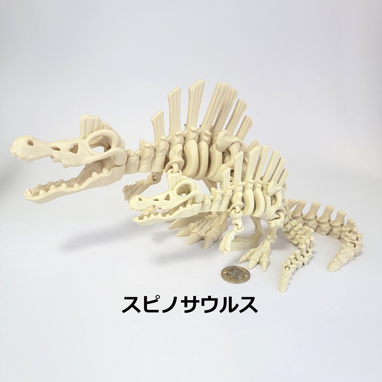 フレキシブル！ホネホネ恐竜